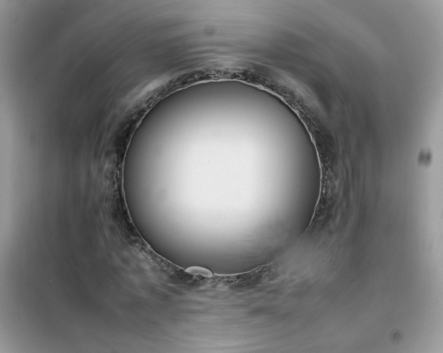 X0000102390773200808011559