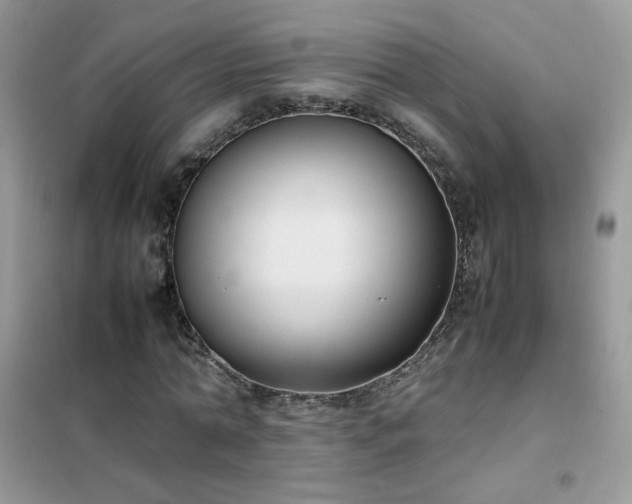 X0000102390774200808011559