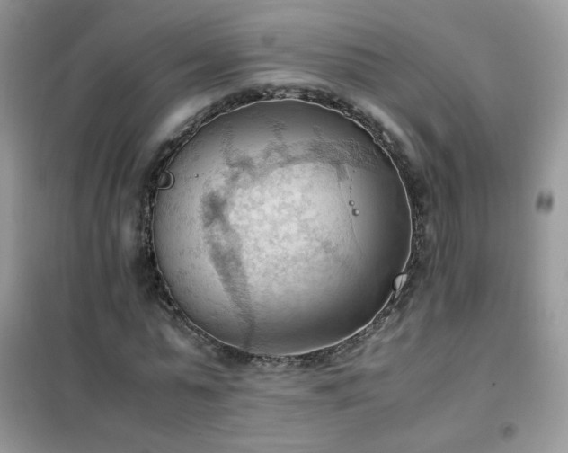 X0000102390775200808011559