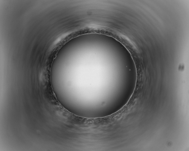 X0000102390776200808011559