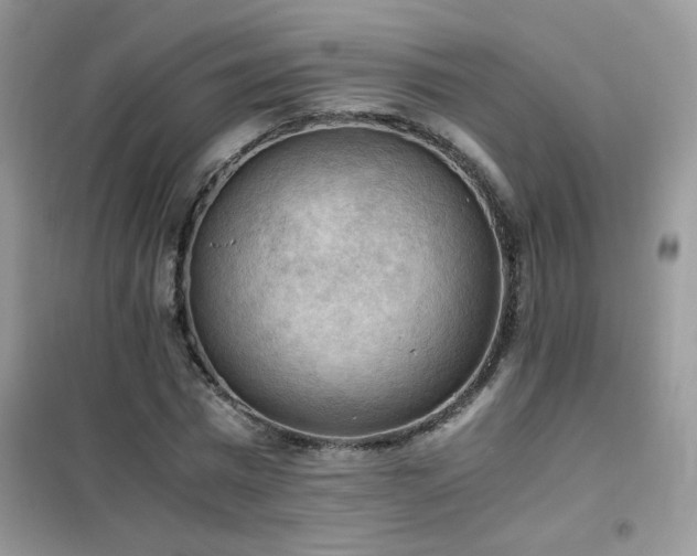 X0000102390777200808011559