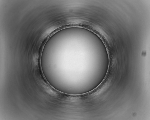 X0000102390778200808011559