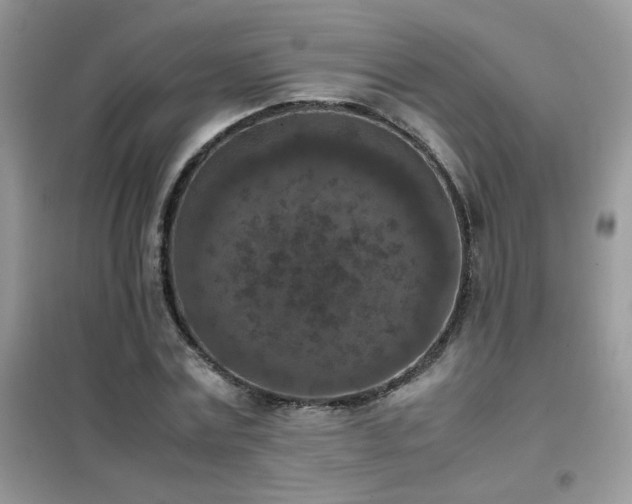 X0000102390779200808011559