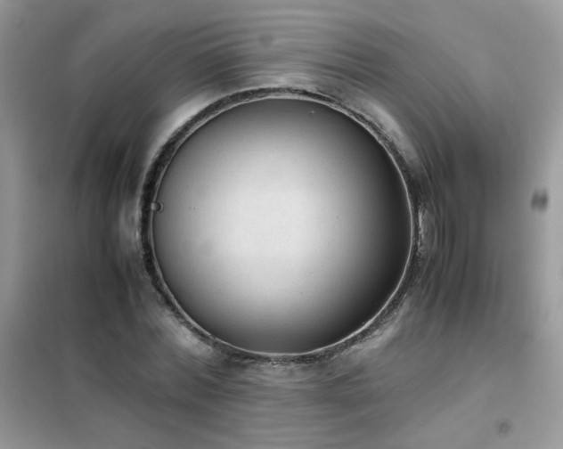 X0000102390780200808011559