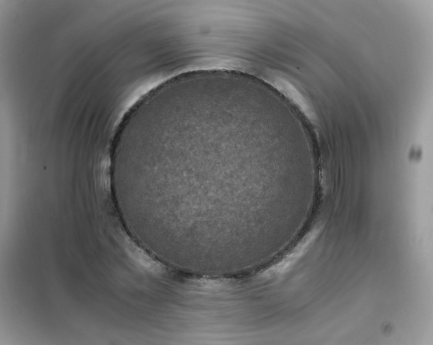 X0000102390781200808011559