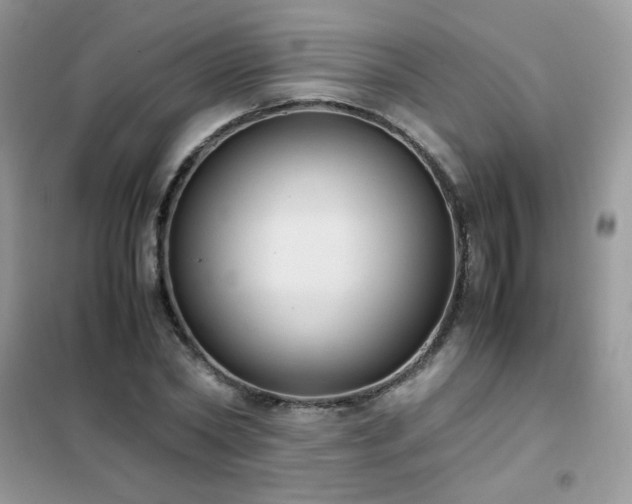 X0000102390782200808011559