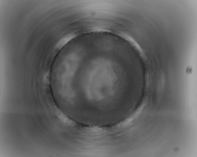 X0000102390785200808011559