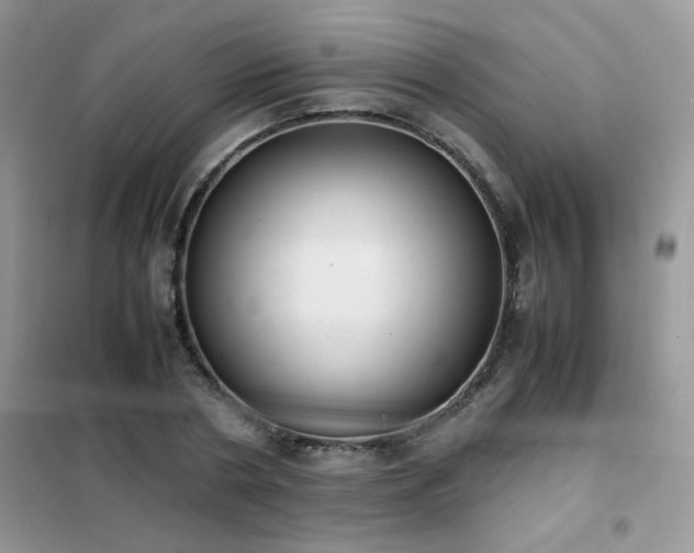 X0000102390786200808011559