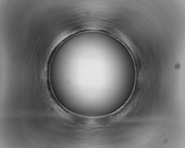 X0000102390787200808011559