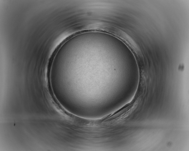 X0000102390788200808011559