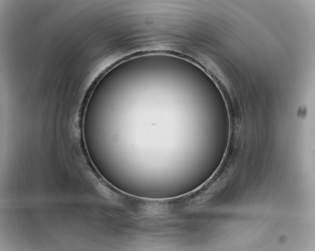 X0000102390789200808011559