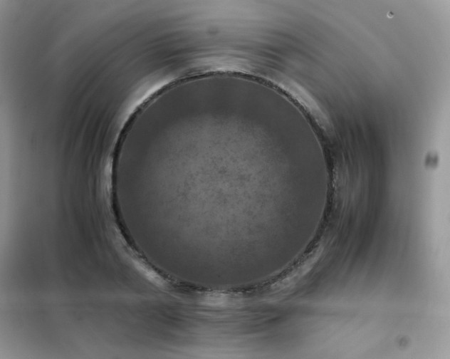 X0000102390790200808011559