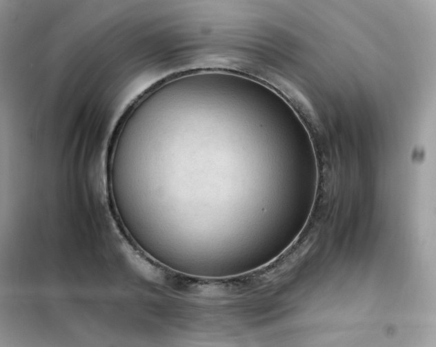 X0000102390792200808011559