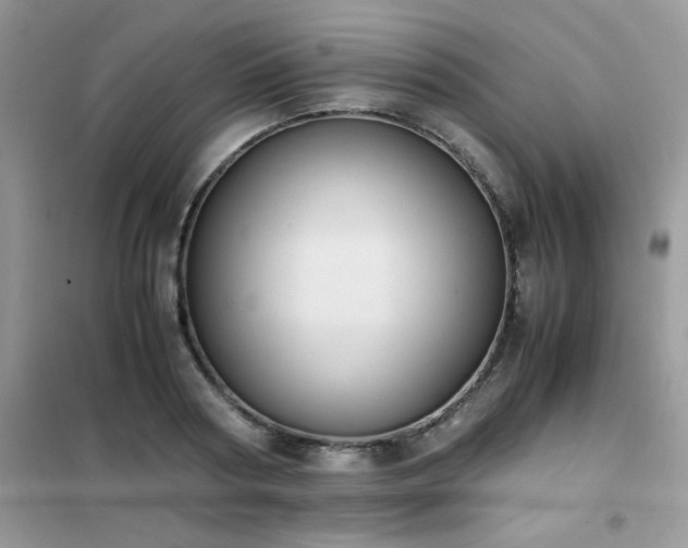 X0000102390794200808011559