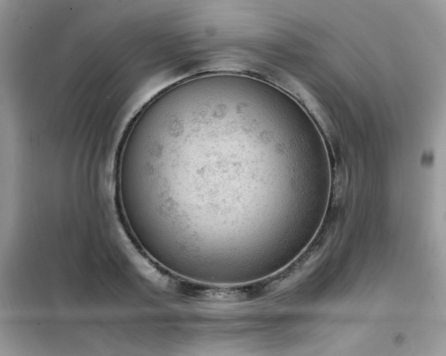 X0000102390795200808011559