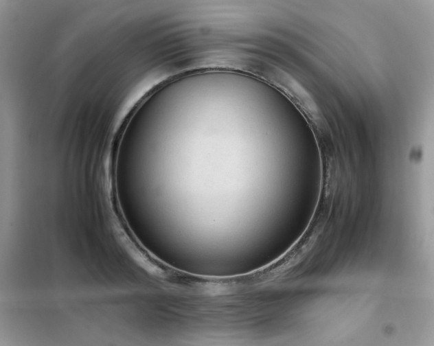 X0000102390796200808011559