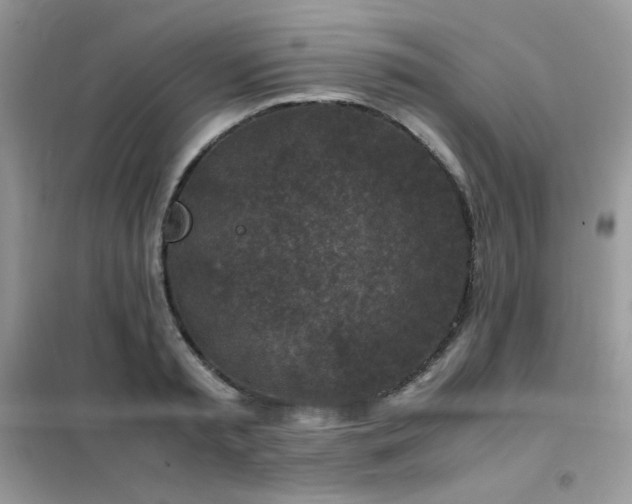 X0000102390797200808011559