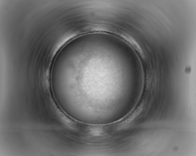 X0000102390798200808011559