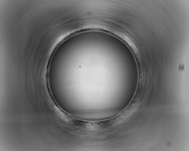 X0000102390799200808011559