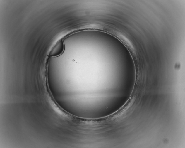 X0000102390800200808011559