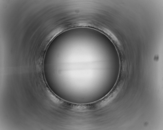 X0000102390801200808011559