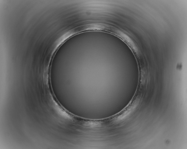 X0000102390802200808011559