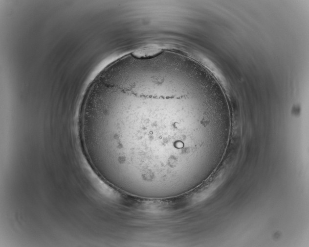 X0000102390803200808011559