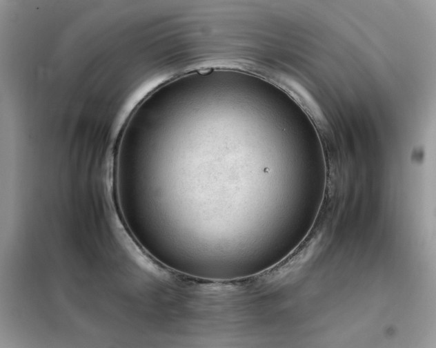 X0000102390804200808011559