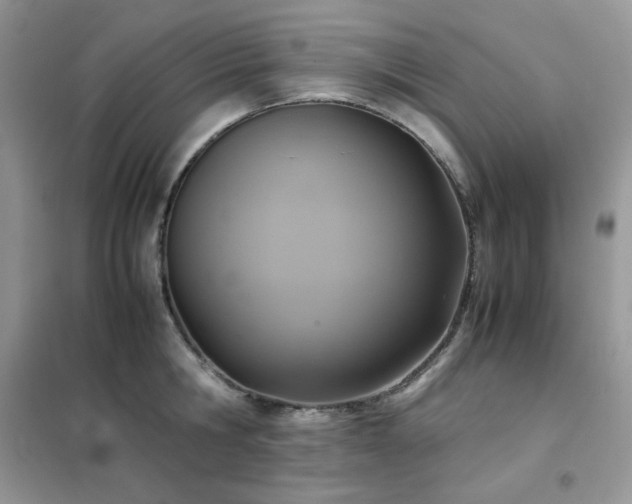 X0000102390806200808011559