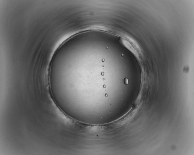 X0000102390808200808011559