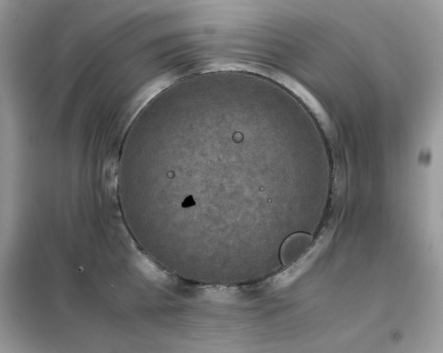 X0000102390809200808011559