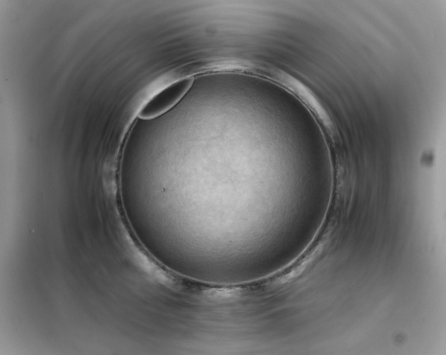 X0000102390810200808011559