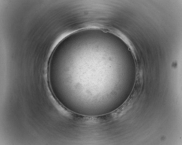 X0000102390811200808011559