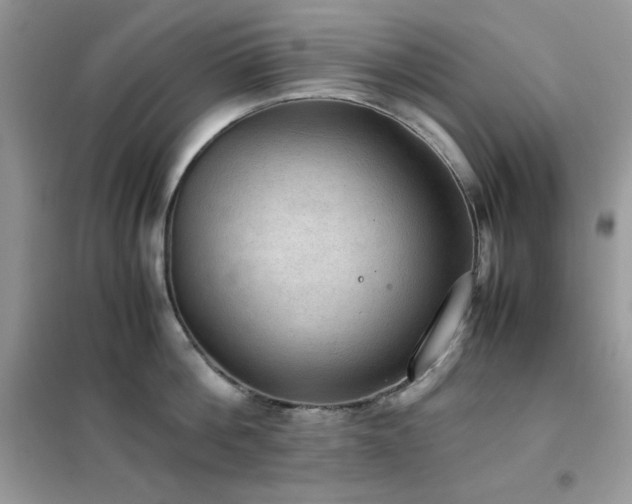 X0000102390812200808011559