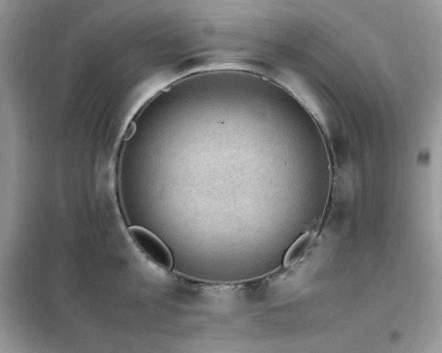 X0000102390813200808011559