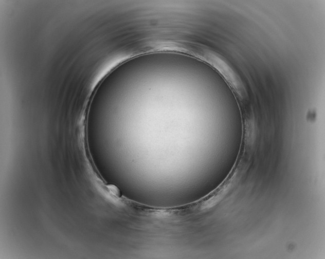 X0000102390814200808011559