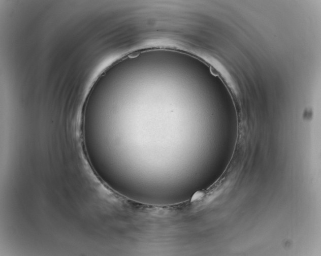 X0000102390815200808011559