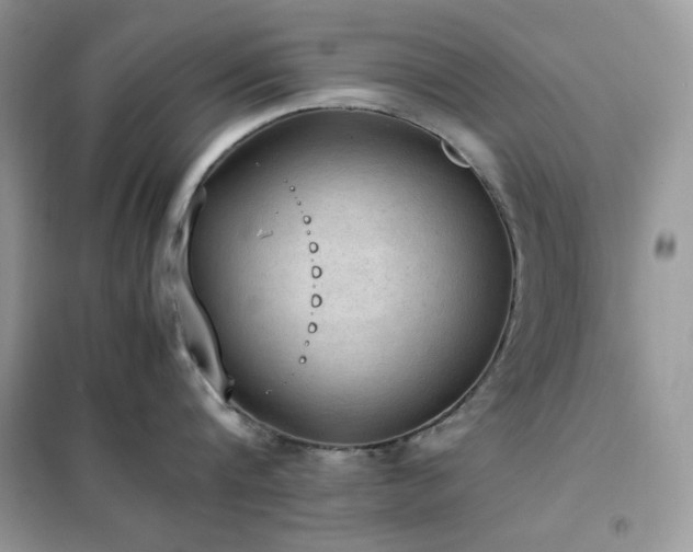 X0000102390816200808011559