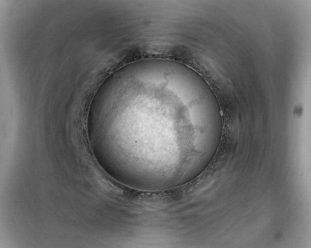 X0000102390817200808011558