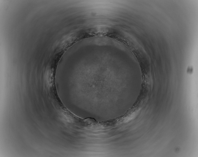 X0000102390818200808011558