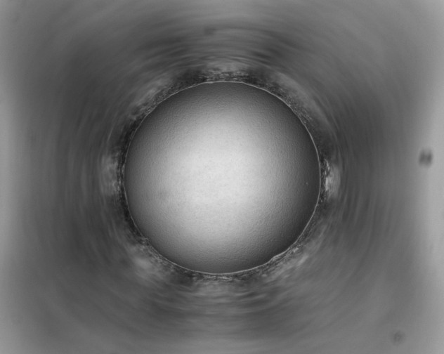 X0000102390819200808011558