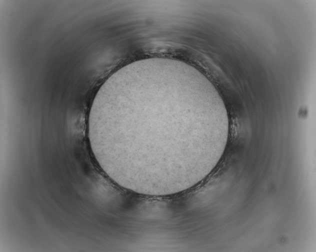 X0000102390820200808011558