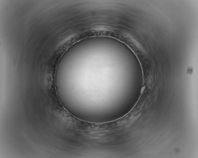 X0000102390821200808011558