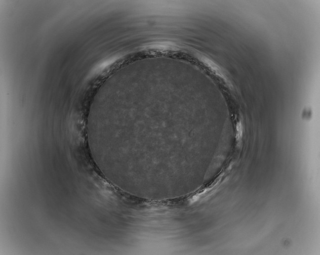 X0000102390822200808011558