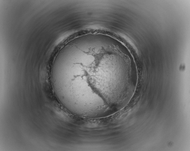 X0000102390823200808011558