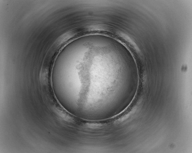 X0000102390825200808011558