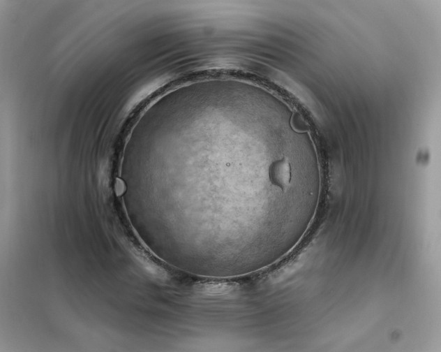 X0000102390826200808011558