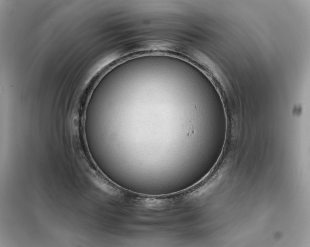 X0000102390827200808011558