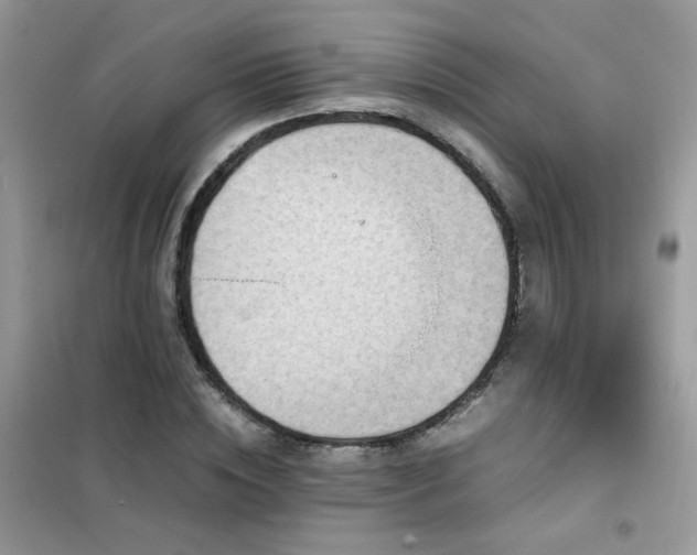 X0000102390828200808011558