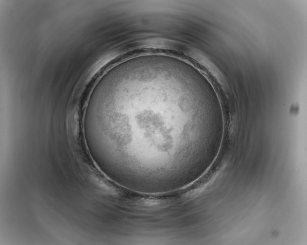 X0000102390829200808011558